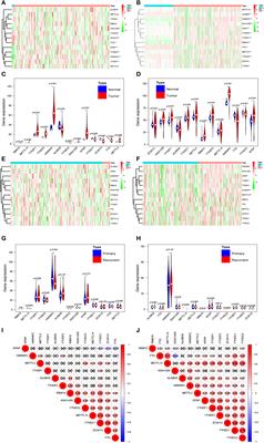 Malignant Evaluation and Clinical Prognostic Values of m6A RNA Methylation Regulators in Glioblastoma